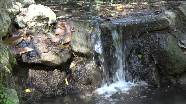 Small waterfall trickling down mossy rocks in a forets
