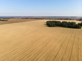 plowed agricultural crop field on which there were traces of the transported vehicles during the processing of the field