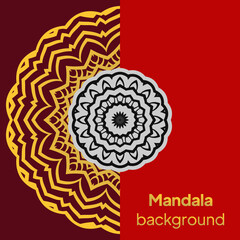 Vector mandala. Arabic, Indian, turkish, pakistan, chinese, ottoman motifs