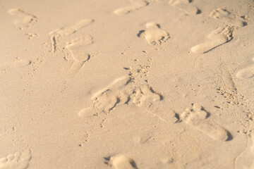Fototapeta na wymiar footprint on the beach background.