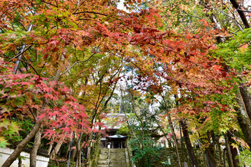 日本の大阪の寺と紅葉と地蔵