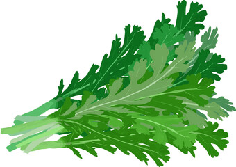 旬の野菜春菊のイラスト © foolchico