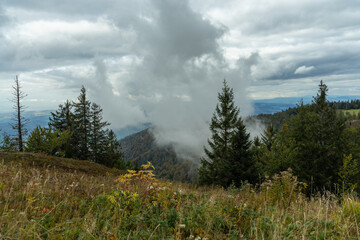 Herbstliche Landschaft im Schwarzwald