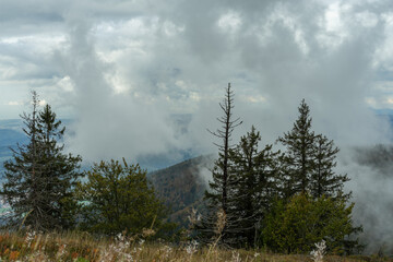Herbstliche Landschaft im Schwarzwald