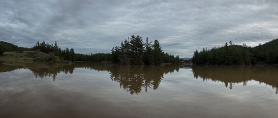 Lago marrón con el reflejo de pinos
