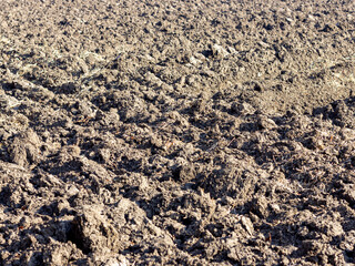 Mechanically processed arable land for agricultural crops.