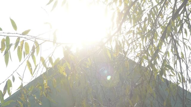 Old fashioned vintage wooden retro abandoned village countryside dacha house straw roof world war two World War II former USSR CIS Belarus partisan guerilla fight battle for freedom history historic