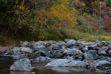 秋の高槻摂津峡の紅葉