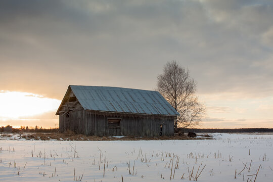 Old Barn In the Springtime Sunset