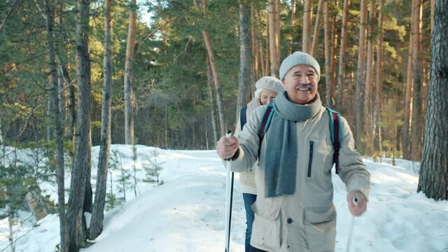 Senior man and woman with ski poles enjoying nordic walking in park on winter day caring for health in old age. People and modern sports concept.