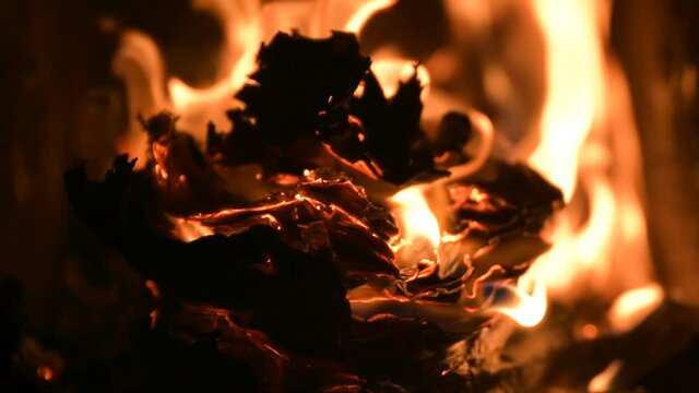 Blazing hot fire flame warming old fireplace burning wood logs, paper letters, documents, books manuscripts in dark dusk coal ash cinder