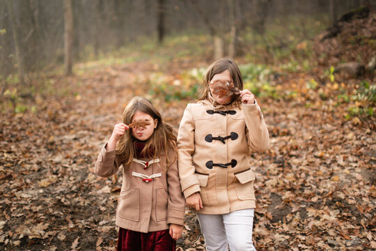 Emotional kids siblings in an autumn winter park with foliage, sisters children walk together in an autumn forest, brown toning