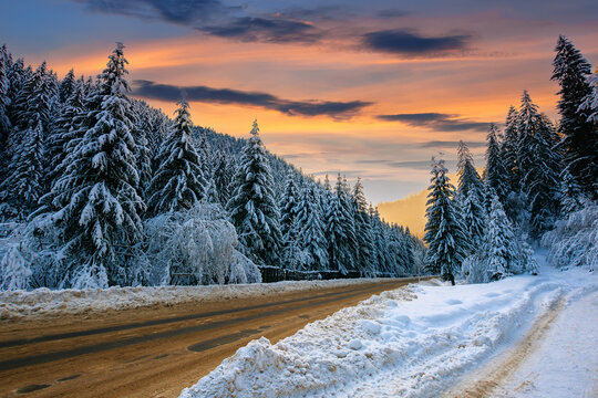 road through mountain landscape in winter. spruce forest covered in snow. dramatic sky with clouds glowing in evening light