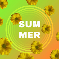 background with yellow flowers and word Summer, vector illustration