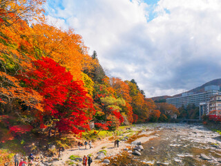 Valley with autumn leaves and hot spring town (Tochigi, Japan)