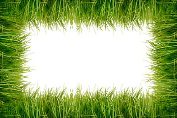 Grass frame