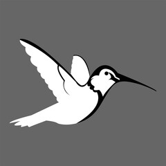 logos, icons, vectors, hummingbirds in black and white