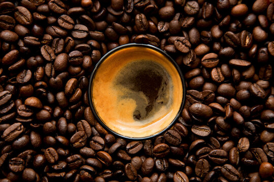 Espresso in the midst of coffee beans, supervision