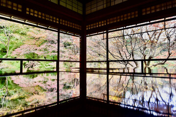 京都の瑠璃光院の紅葉と反射