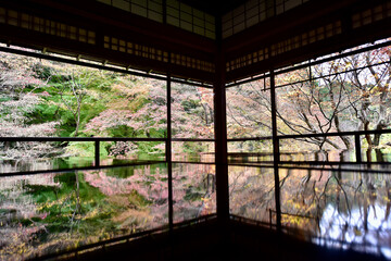 京都の瑠璃光院の紅葉と反射