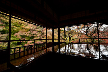 京都の瑠璃光院の紅葉と反射