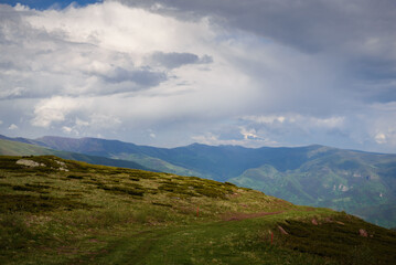 Naklejka premium Green valley nature landscape.