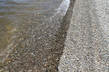 shells on the beach