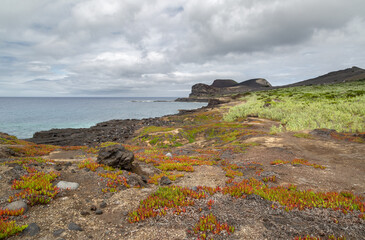 Fototapeta na wymiar Paysage de volcan Capelinhos à Faial aux Açores