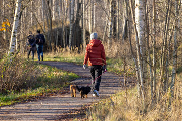 Outdoors with dogs