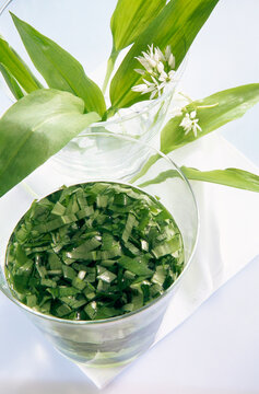 Homemade wild garlic schnapps in a glass with fresh leaves