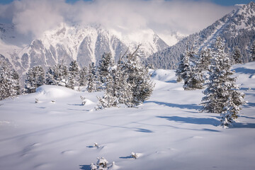 Winter landscape in the Alps. Frosty sunny day. Spruce covered with snow and frost on the background of the mountains. Ski resort Mayrhofen, Austria. Zillertal valley