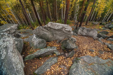 A walk in the autumn forest