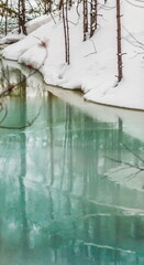 Winter landscape with snow and trees reflected on the turquoise ice of lake forest. Focus on the pines