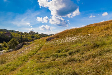 Fast river with rocky banks, overgrown with trees in summer