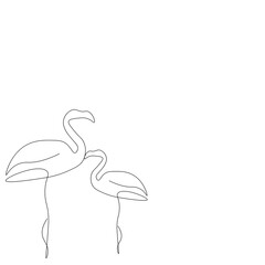 Flamingo bird silhouette vector illustration