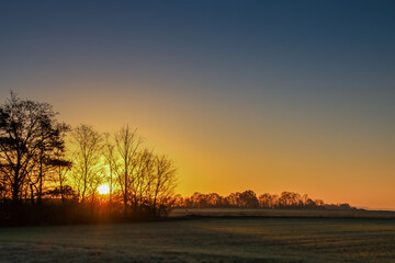 The morning winter sun rising above a field