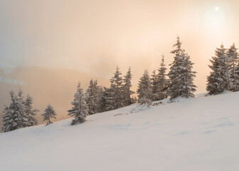 Fototapeta na wymiar Sunrise over the snow-covered mountain slope.