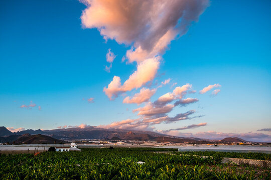 Landscape sunset beautiful view of tree bananas plantation and mountains in background with colorful amazig clouds in the blue sky