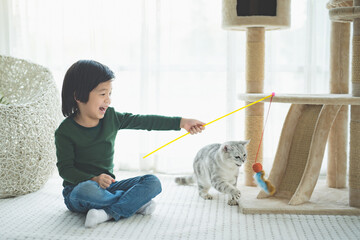 Cute Asian child playing with a cat in living room.