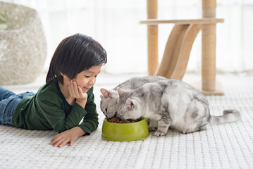 child feeding American shorthair cat