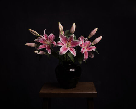 Still life with pink lily flowers in classic renaissance style
