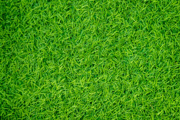 Green artificial grass natural