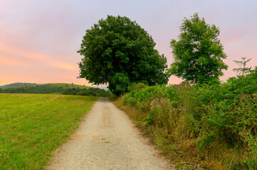 A sunrise on the Camino de Santiago Frances