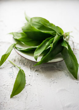 Fresh ramsons (wild garlic)