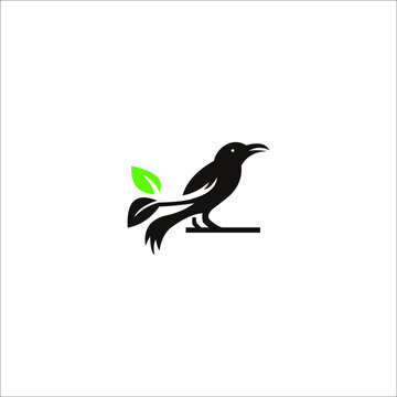 logo revan bird animal vector icon