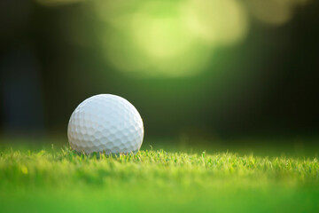 golf ball is on a green lawn in a beautiful golf course
