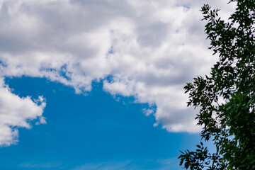 The blue sky is rich in color in clear weather with beautiful lush clouds. The beauty of nature in the fresh air, the layer of atmosphere visible to the eye from bottom to top