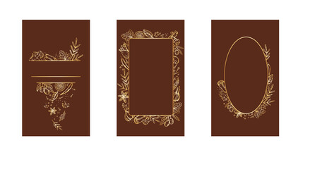 Aromatic spices and herbs for cooking. Set of vector banner templates for menu design, cookbooks, invitations, gastronomic parties.