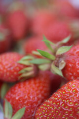 Fraise