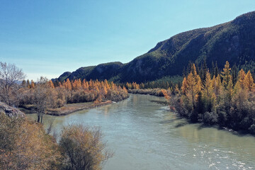 Fototapeta premium landscape altai russia, autumn top view, drone over the forest